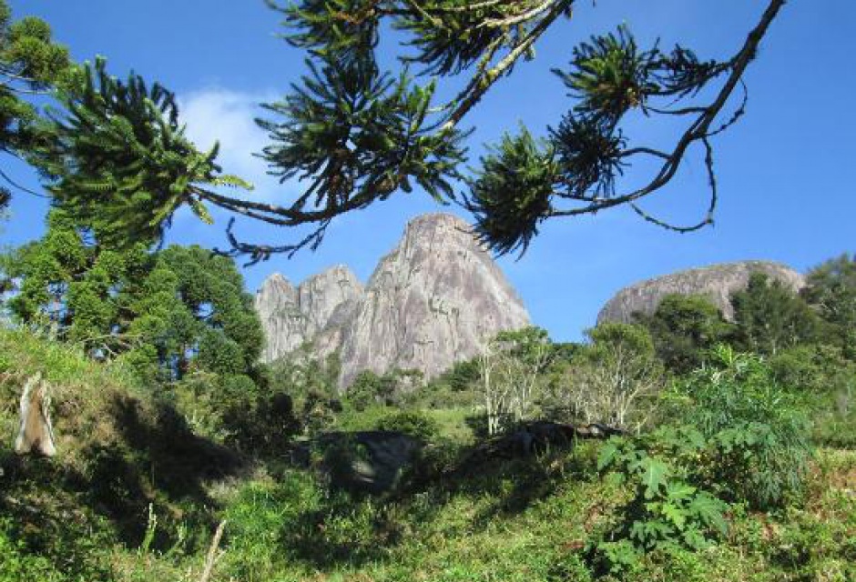 Restauração Ecológica na Reserva Ecológica de Guapiaçu e no Parque Estadual dos Três Picos